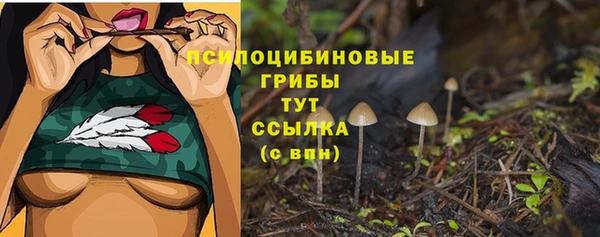 PSILOCYBIN Лихославль
